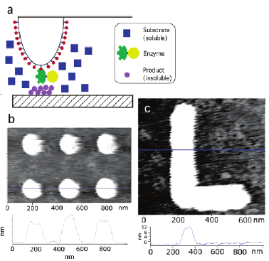 Nanolitografie pomocí SPM Silové techniky Elektrické techniky Další techniky Enzyme-Assisted Nanolithography na hrotu je imobilizován enzym na podložce pod hrotem v kontaktu depozice produktu