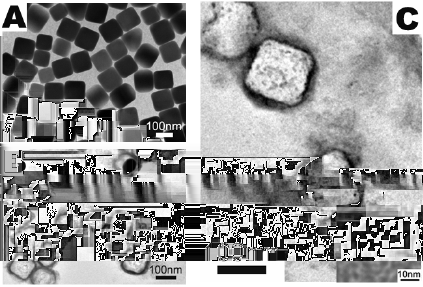 Nanočástice Nanofilmy Nanodráty Výroba dutých Ag nanočástic Základní pojmy Příprava nanočástic Aplikace nanočástic základem je nanokrystal Ag s