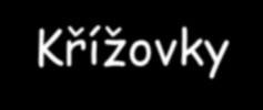 Příklady výsledků projektu 2006 Křížovky Testy Soutěže Pracovní listy Modely molekul AZ-kvízy Bingo Sázky a