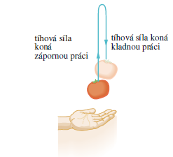 Kinetická energie je veličina stavová (popisuje určitý stav částice), práce charakterizuje určitý proces (přechod z jednoho stavu do druhého).