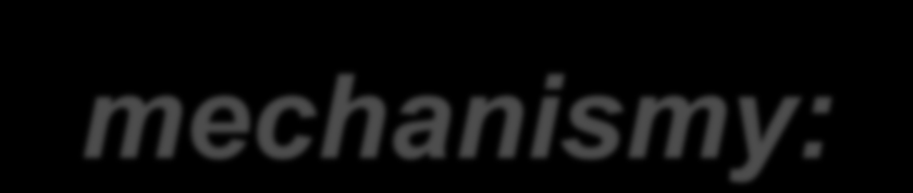 Kryptografické autentizační mechanismy: MAC Message Authenthication Code.