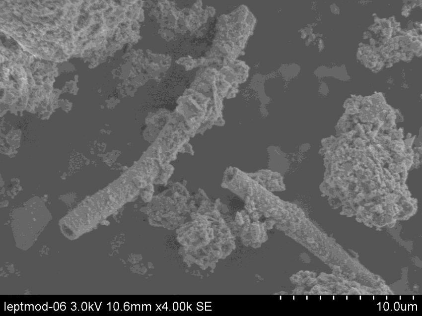 Použití nanočástic biogenních oxidů železa pro