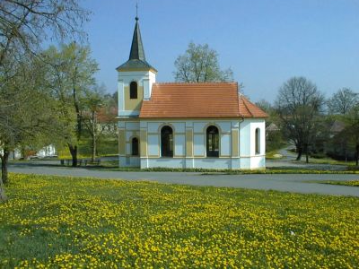 Obnova krajinných struktur Doplnění zeleně podél komunikace jižně od obce Hartmanice Objednatel: Obec