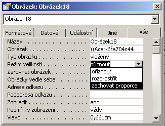 12. S využitím průvodce formulářem vytvořte libovolný formulář z dotazu Pražáci. Do formuláře vyberte všechna pole.