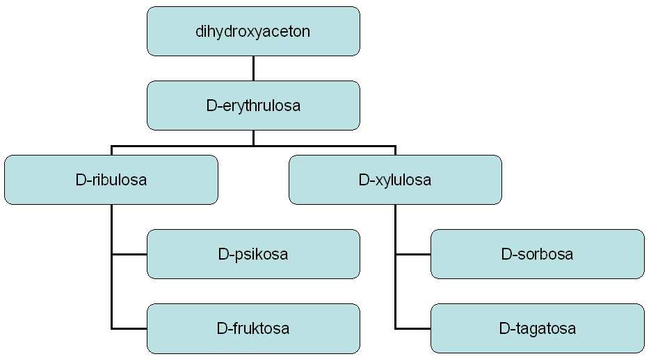 Žáci jako příklad ketosy v pracovních listech mají pouze D-fruktosu: Tollensův vzorec Haworthyho vzorec Model Nyní následuje pro