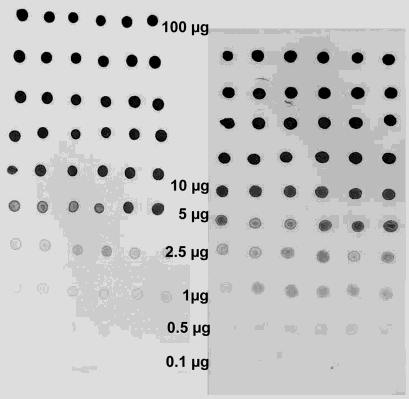 Vývoj nových a validace tradičních lapačů Elektronické varovné systémy přítomnosti škůdců Fluorescenční metody Publikace Metodiky Molekulární a