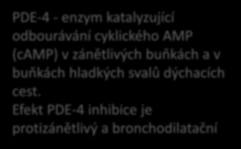 Roflumilast selektivní inhibitor phosphodiesterázy 4 (PDE-4) schválen jako prevence