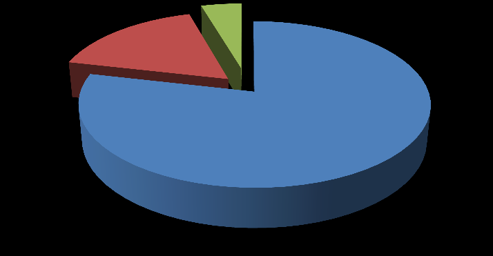 UTB ve Zlíně, Fakulta humanitních studií, Institut mezioborových studií Brno 58 9,70% 5,20% manžel(-ka), přítel(-kyně) rodiče jiný 85,10% Graf č.