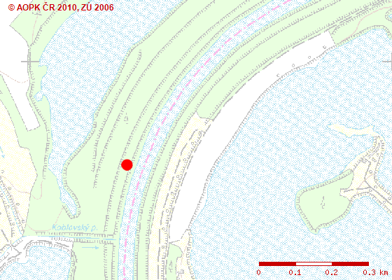 Mapa 12: Nocoviště na řece Opavě (k. ú.
