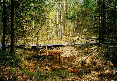 řeky Lužnice, Nežárka o Borkovická blata přírodovědná naučná stezka Kostel Povýšení sv. Kříže Husův pomník 4.8 Drahov (34 km) Odkaz: http://www.obec-drahov.