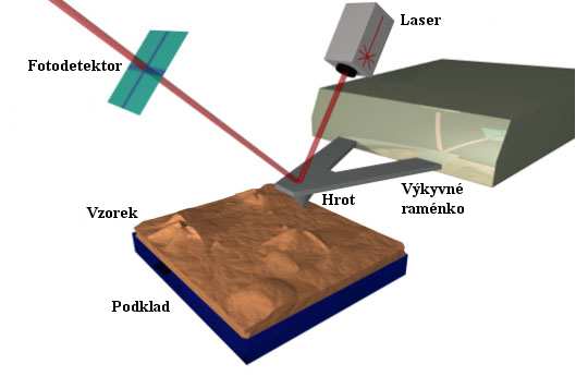 AFM (atomic force microscopy) je mikroskopická technika, která se používá k trojrozměrnému zobrazování povrchů. Prvně ji realizovali v roce 1986 Binnig, Quate a Gerber.