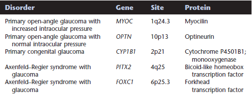 Glaukom - přinejmenším 10 lokusů POAG (primary open angle glaucoma), 5 charakterizováno Funkce neznámá, in vitro špatné složení agregace - apoptosa Optineurin funkce neznámá, komponenta Golgiho