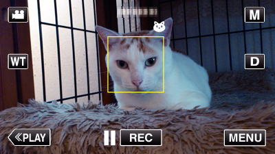 Záznam Automatické zachycení domácích zvířat (SNÍMEK DOM ZVÍŘETE) SNÍMEK DOM ZVÍŘETE automaticky zachycuje statický snímek při detekci tváře domácích zvířat, jako jsou kočky nebo psi Tato funkce je k