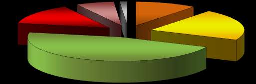 NÁZOR NA ZMĚNU OBJEMU EXPORTU ZA POSLEDNÍCH 12 M V období od září 2011 do září 2012 Ve srovnání s lety 2011 a 2010 růst objemu exportu v roce 2012 zpomalil (nárůst uvádí 32% exportních firem).