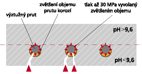 Negativní vliv vzdušného CO 2 na beton H2O Ca(OH) 2 CO2 CaCO 3 H2O postupná přeměna alkalické cementové matrice obsahující Ca (OH) 2 na