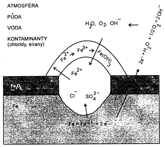 Koroze železa v půdě Fe + Cl - +O 2 + H 2