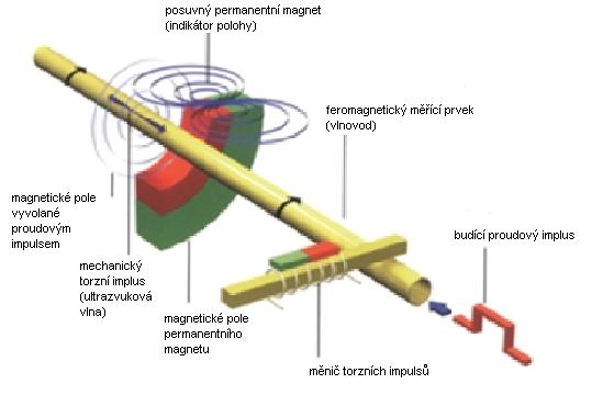 Obr. 1.8 Princip magnetostrikčního měření vzdálenosti [8] 1.6.6. Jazýčkové senzory přiblížení Tyto jednoduché senzory jsou tvořeny jazýčkovým kontaktem.
