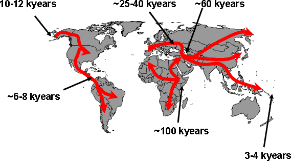 bottleneck effect - možný vznik lidských ras po tomto období Lake (Mount) Toba, Sumatra kolonizace jednotlivých míst na zemi člověkem Homo sapiens - kolonizace Severní Ameriky možná