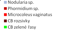 Srovnávala jsem sloţení biomasy nejvíce zastoupených skupin fototrofů na obou studovaných lokalitách (Graf 4.).