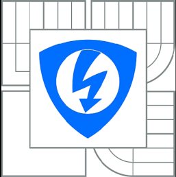 VYSOKÉ UČENÍ TECHNICKÉ V BRNĚ BRNO UNIVERSITY OF TECHNOLOGY FAKULTA ELEKTROTECHNIKY A KOMUNIKAČNÍCH TECHNOLOGIÍ ÚSTAV BIOMEDICÍNSKÉHO INŢENÝRSTVÍ FACULTY OF ELECTRICAL ENGINEERING AND COMMUNICATION