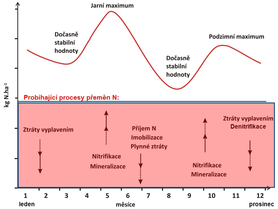 výživě rostlin při určování dávek dusíku ke konkrétním zemědělským plodinám před založením porostů, ale i při přihnojovaní v průběhu vegetace. Obr.