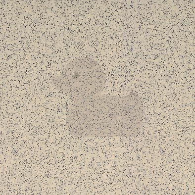 (DDM 83) PK3 Dlažba (prostory mimo sociální zařízení) Taurus Granit Nevada 29,8x29,8 cm, matná. Barva popisná Nevada. Barva základní béžová.