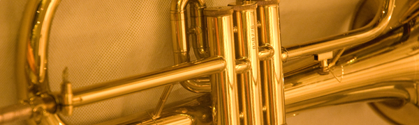 Obr. 3.10: Spektrogram klarinetu, tón C4 Obr. 3.11: Trubka Dynamika: 60 db až 90 db = 30 db [1] 3.7 Alt saxofon Saxofon (obr.3.13) je jednoplátkový dřevěný dechový nástroj vyráběný převážně z mosazi.