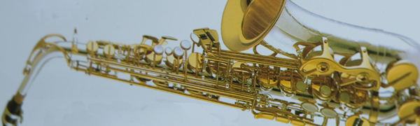 Obr. 3.12: Spektrogram trubky, tón C4 Obr. 3.13: Alt saxofon 3.8 Viola Viola (obr.3.15) je strunný smyčcový nástroj se čtyřmi strunami.
