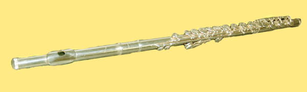 Obr. 3.18: Spektrogram hoboje, tón C4 Obr. 3.19: Příčná flétna 3.11 Housle Housle (obr.3.21) jsou strunný smyčcový nástroj se čtyřmi strunami.