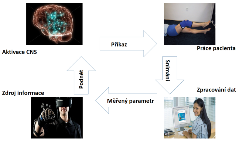 3 ZPĚTNÁ VAZBA Termín zpětná vazba popisuje situaci, kdy výstup systému ovlivňuje zpětně jeho vstup.