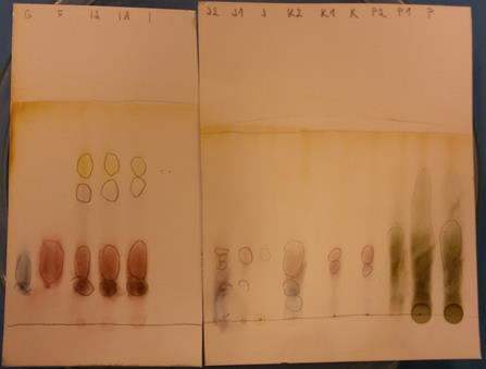 Obrázek 19: Chromatogram postupné hydrolýzy prebiotik Pomocí pravítka byly změřeny vzdálenosti jednotlivých skvrn od startu. Následně byly vypočítány retenční faktory jednotlivých prebiotik.