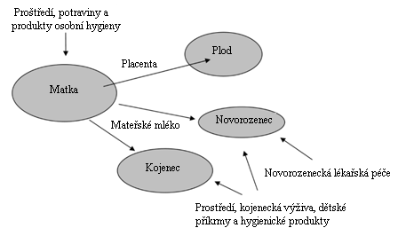 2006) a metabolity ftalátů byly detekovány v moči dospělých i dětí (Jönnson aj., 2005; Koo a Lee, 2005). Obr. 3 Cesty expozice ftaláty (Frederiksen aj., 2007)
