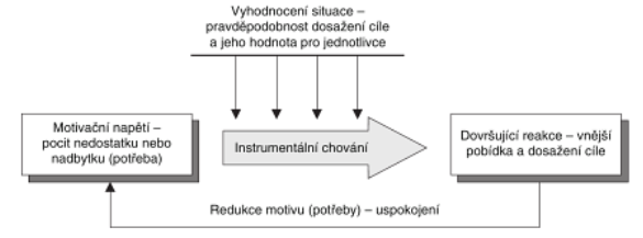 Obrázek 1: Cyklické schéma motivace (Zdroj: Tureckiová, 2004) 2.2 Individuální rozdíly Jak ve své knize uvádí Jiří Plamínek (2010; str.