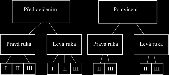 5 PROTOKOL MĚŘENÍ Práci svalu můţeme rozdělit na lokální dynamickou, celkovou dynamickou a statickou práci neboli práci proti odporu.