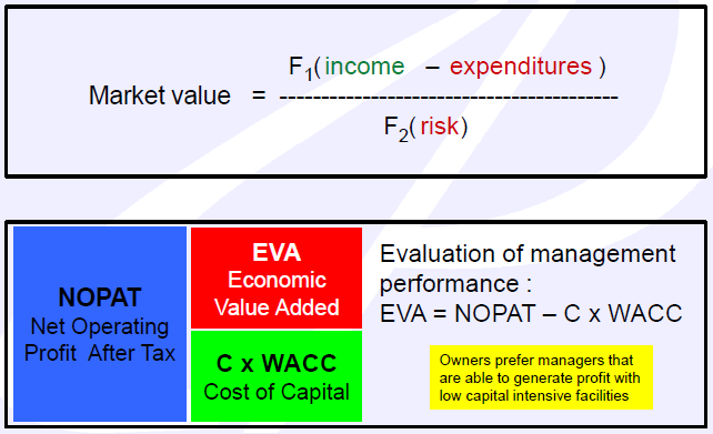 Tržní hodnota a EVA kritéria privatizovaného a liberalizovaného