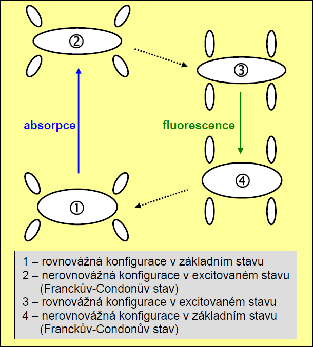 emitovaného fluorescenčního záření menší, než by odpovídalo čistě elektronovému přechodu [2]. Obr. 2.3: Solvatace fluoroforu při absorpci a emisi v roztocích (podle 2).