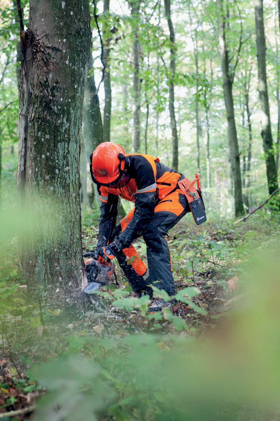 PRÁCE S ēetõzovou PILOU: BEZPEëNOST NA PRVNÍM MÍSTõ PĖi práci s Ėetøzovou pilou, aě už na zahradø îi v lese, je vždy na prvním místø bezpeînost.