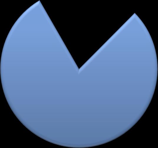 Normální 79%  (možnost více odpovědí) 1