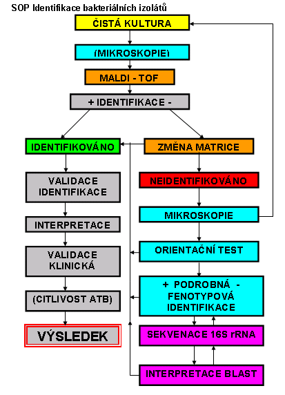 Výsledek MALDI TOF je nutno interpretovat s