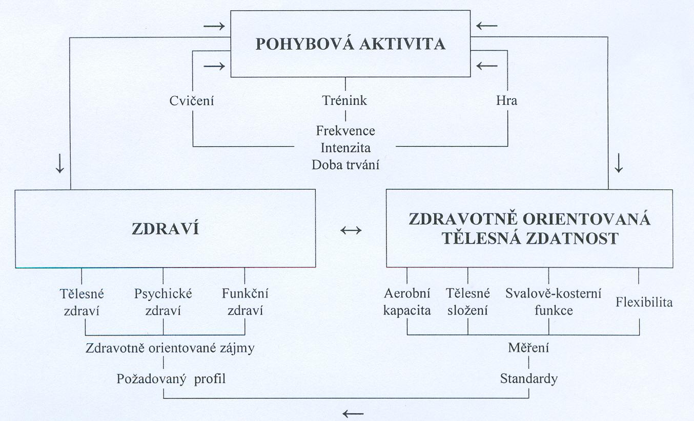 Pohybová aktivita Obr.