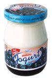 Test jogurtů Kvalitní jogurt nejméně 100 milionů bakterií v 1 g Jogurt 1