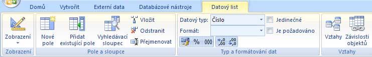 se zobrazuje vždy položka Přidat nové pole, kterou můžete začít okamžitě využívat. Pro změnu názvu pole použijete kontextové karty Datový list, ve které naleznete ikonu Přejmenovat.