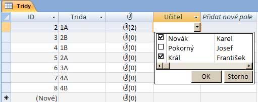 5.8 Pole s více hodnotami Tento typ pole je výbornou pomůckou, a to nejen pro okamžik, kdy chcete svá data publikovat prostřednictvím služeb Windows SharePoint Services, ale také v případě, kdy