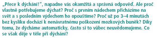 použité v