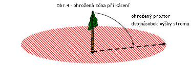 VIII. PRAVIDLA SOUTĚŽNÍCH DISCIPLÍN 1. KÁCENÍ 1.