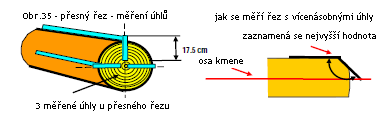 být v pohybu při přecházení mezi kmeny). Odřízne kotouč z druhého kmene. Položí motorovou pilu na kotouč. Bezprostředně po dokončení disciplíny čeká soutěžící na pokyny rozhodčího.