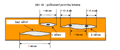 Poškození povrchu kmene Podélné poškození povrchu kmene delší než 35 cm je hodnoceno jako nedovolené, bez ohledu na jeho hloubku. Soutěžící obdrží za každé takové poškození 40 trestných bodů (viz obr.