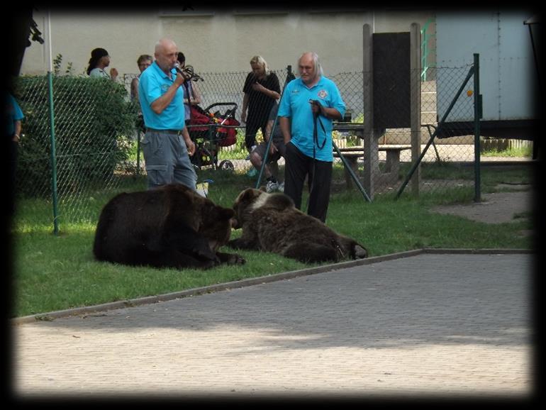 6/2016 Měsíčník Obecního úřadu Chbany MEZINÁRODNÍ DEN DĚTÍ VE CHBANECH DNE 5.6.2016 Dne 5.6.2016 od 14:00 hodin se konala v obci Chbany oslava Mezinárodního dne dětí.