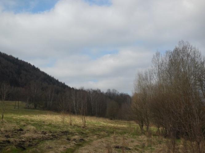 Obrázek 14: Záplavové území Q20 Labe varianty B Zdroj: [DIBAVOD, upraveno AF-CITYPLAN] Z tohoto důvodu by byla vhodná taková protipovodňová opatření (např.