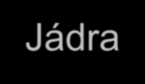 Jádra corpus amygdaloideum septum verum nucleus accumbens ncl. mammillares ncll. habenulares ncll.